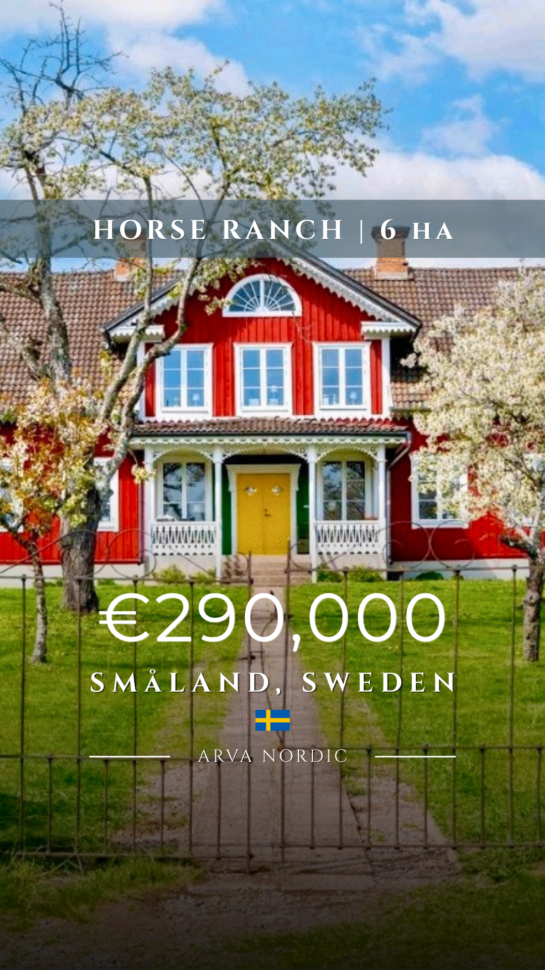 Black Forest Horse Ranch